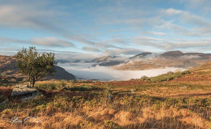 kerryhols's tweet photo. Ireland.#Ireland #Kerry #Killarney #dingle #traveltips #familytravel #FamilyVacation #HolidayChat #holiday #VacationRental #vacationmode #vacation #summer2018 #tripadvisor #airbnbexperiences #airbnbftw #hikingadventures #wanderer #treking #reisen #getaway #relaxing #unwinding #uk https://t.co/Qi4GducxVY