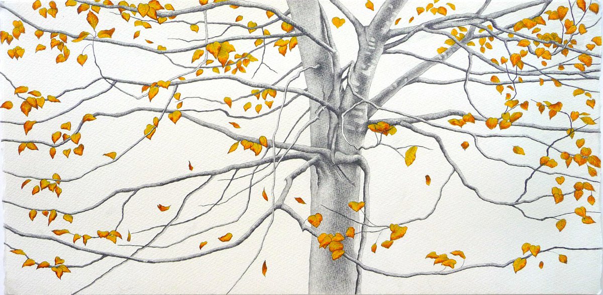 It’s going to be a great weekend. Come and see Ali Morgan’s forty tree drawings.