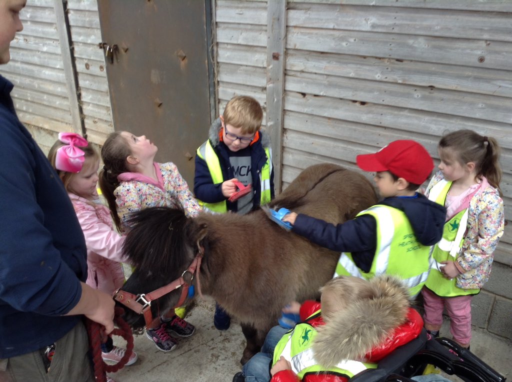 springwoodfs's tweet image. Grooming ponies #swhdaysout