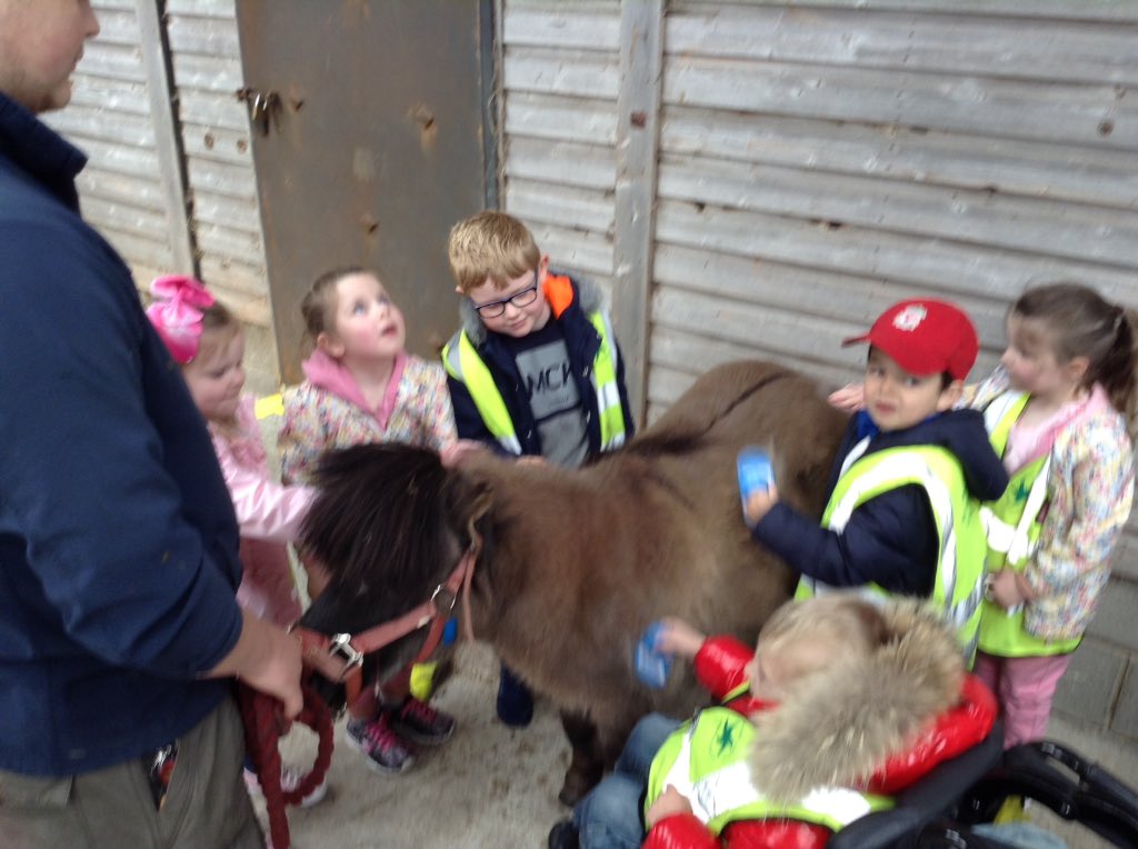 springwoodfs's tweet image. Grooming ponies #swhdaysout