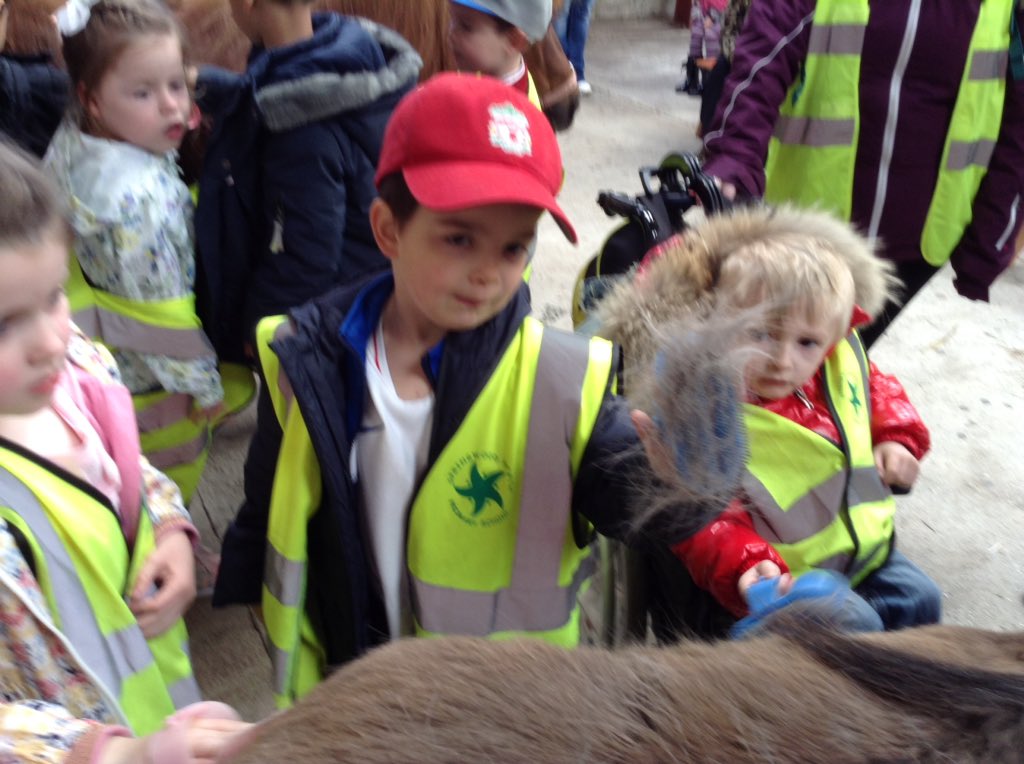 springwoodfs's tweet image. #swhdaysout Reception take part in Pony grooming.