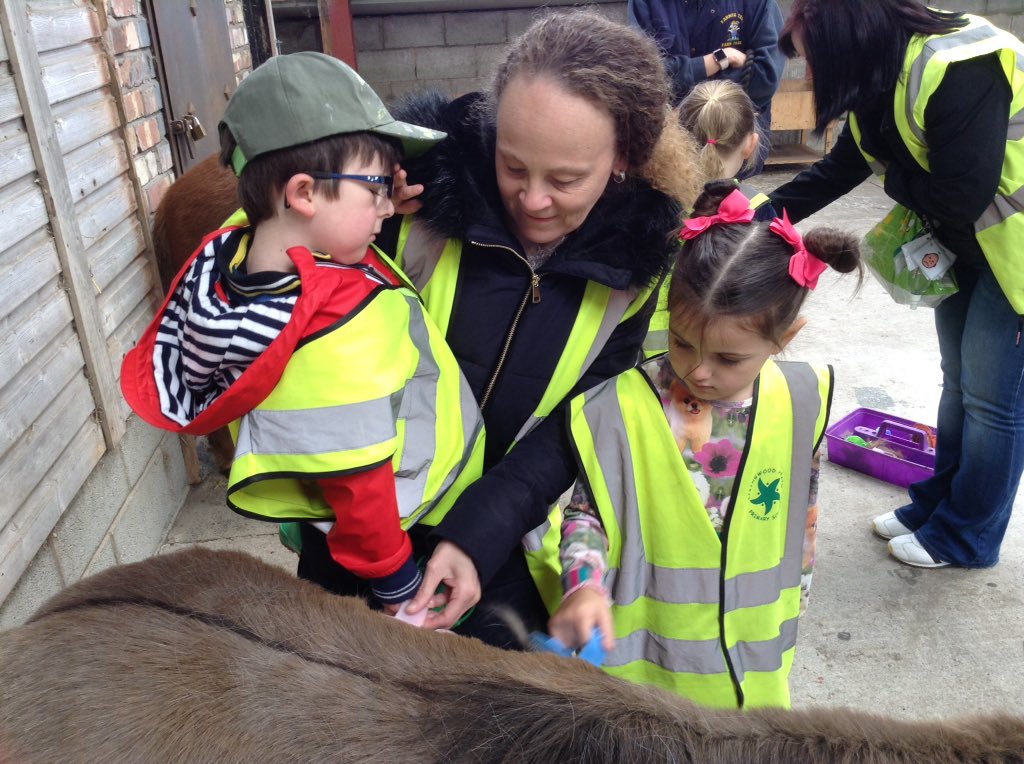 springwoodfs's tweet image. #swhdaysout Reception take part in Pony grooming.