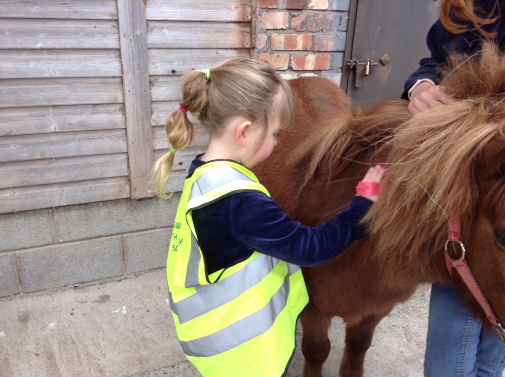 springwoodfs's tweet image. #swhdaysout Reception take part in Pony grooming.