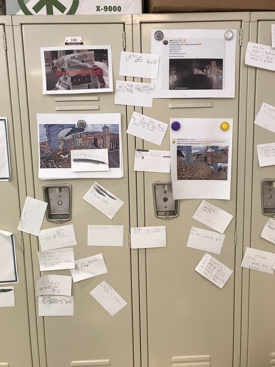 MundodePepita's tweet photo. My Third Grade naturalists in action, making observations about the stork babies which in turn are on display for my second graders in the hallway. So proud of their efforts! #fles #writing @SEO_BirdLife #growinglanguage #science https://t.co/CEHlb6sT6b