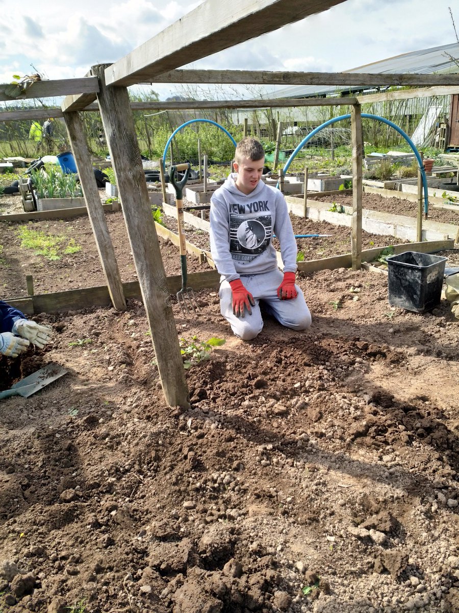 PerthAcademyOrganics tweet media