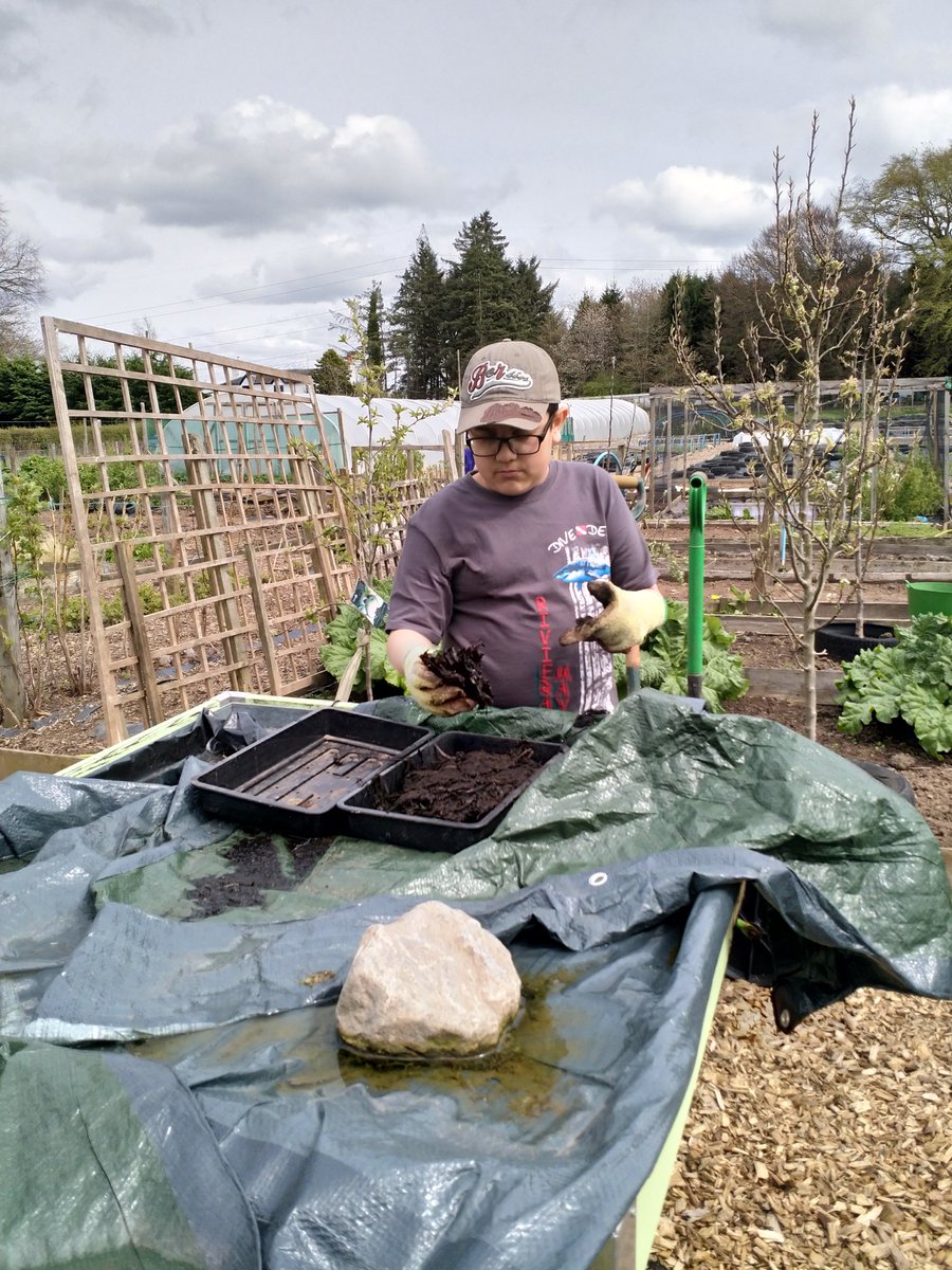 PerthAcademyOrganics tweet media