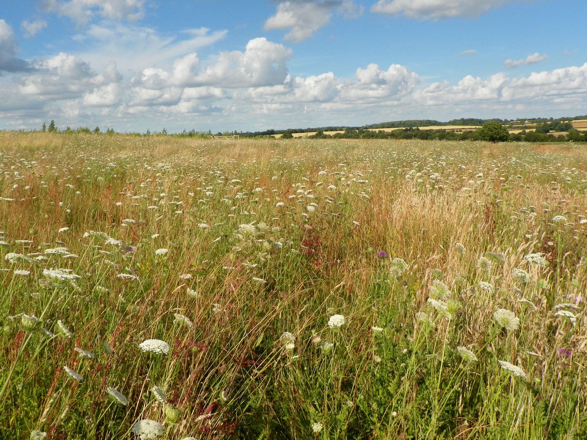 ebook characterisation and engineering properties of natural soils