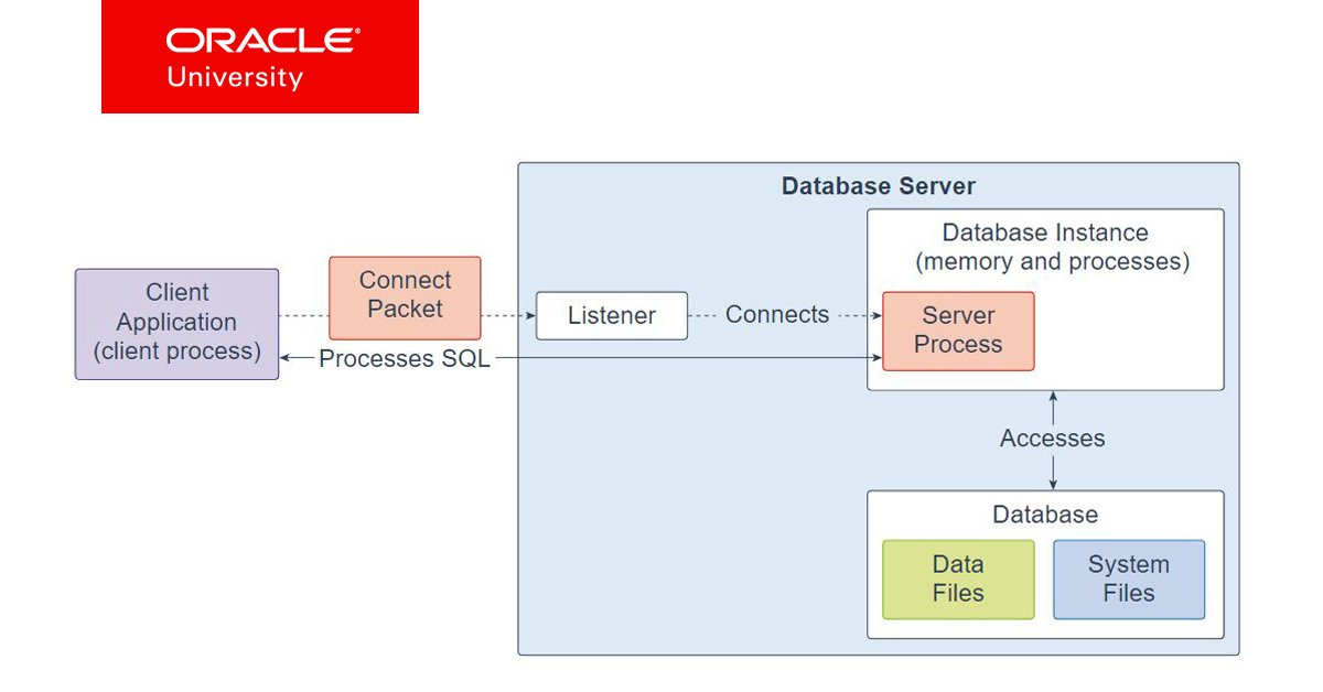 Oracle_Edu's tweet photo. The #database consists of physical files called #data files and can be a non-container database or a #multitenant #container database. Learn more about @OracleDatabase #12cR2 technical #architecture from this interactive diagram: https://t.co/csaove9e7a https://t.co/o8ejfDuECN