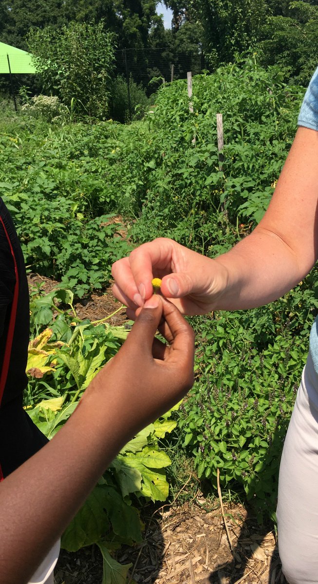 Camp Garrett in Newtown Square