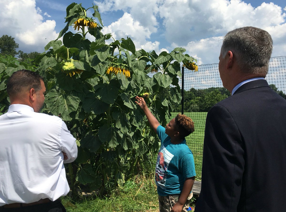 Camp Garrett in Newtown Square