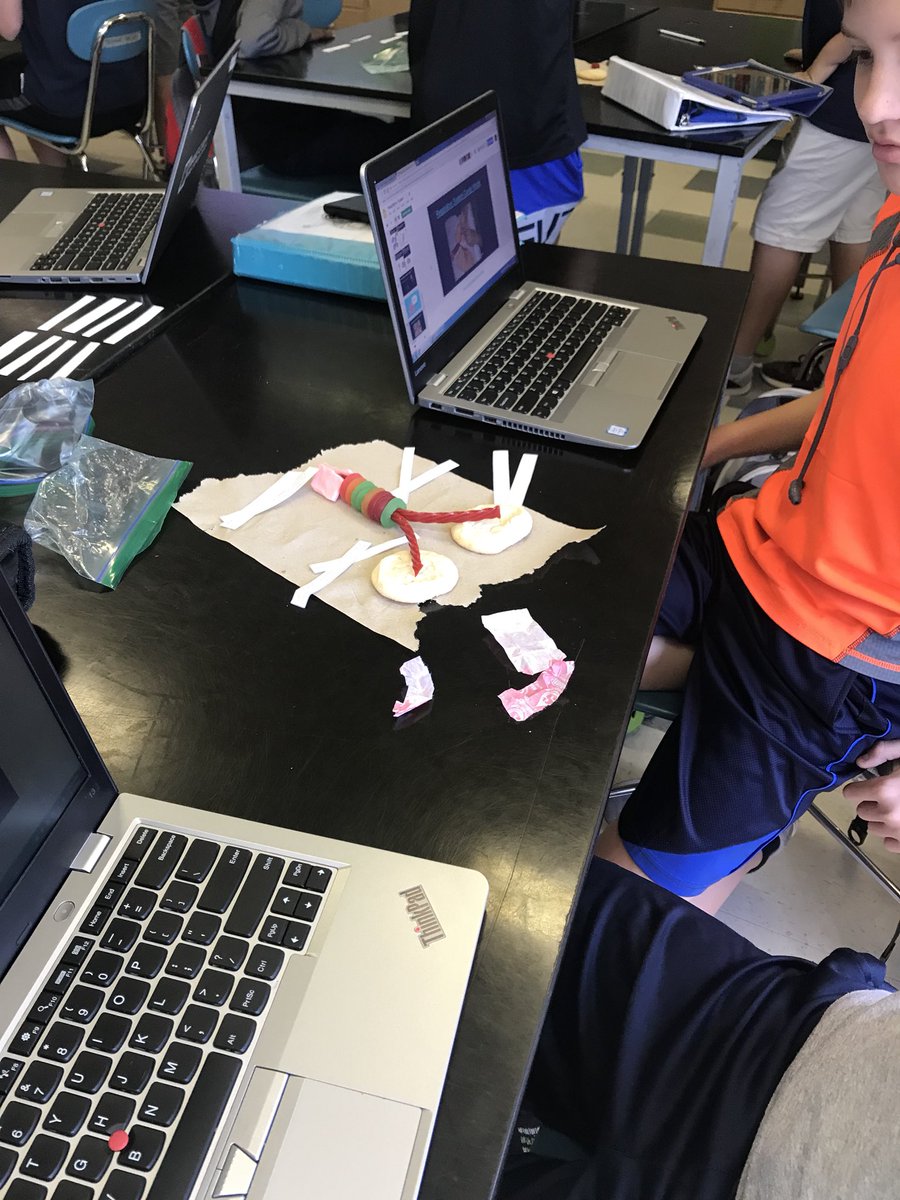 kerritraynor's tweet photo. @DDMSBuzz Students being creative by using treats to create main parts of the respiratory system and identifying their functions. #studentledlessons #studentsteachstudents https://t.co/SWtGIqkuz6