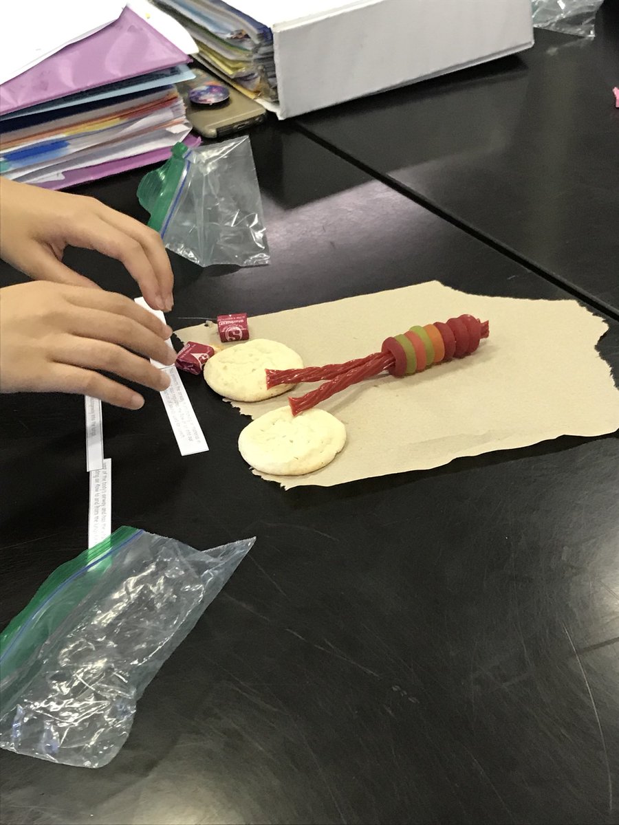 kerritraynor's tweet photo. @DDMSBuzz Students being creative by using treats to create main parts of the respiratory system and identifying their functions. #studentledlessons #studentsteachstudents https://t.co/SWtGIqkuz6