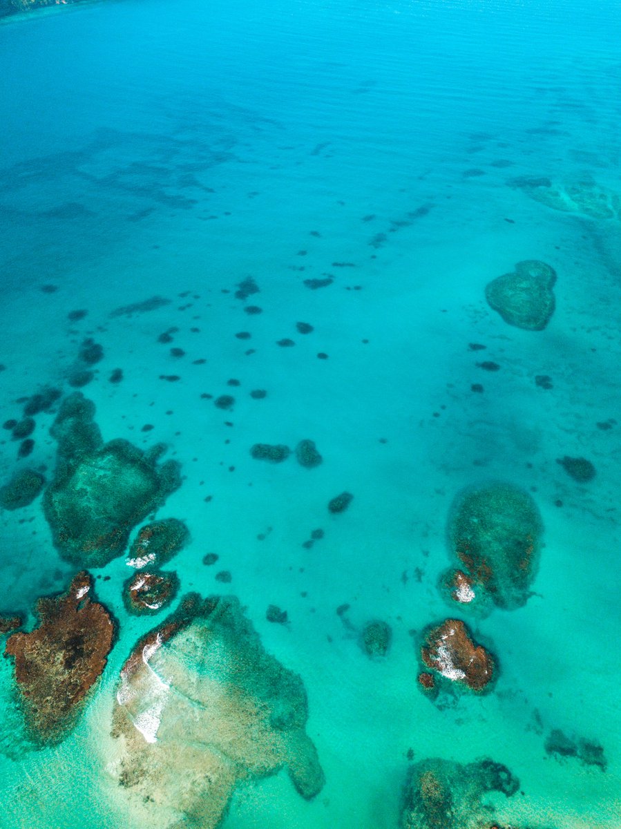 GoDomRep's tweet photo. Amor a primera vista. 😍 Gracias por tus aguas color turquesa, Samaná.

📍Samaná https://t.co/awXb4ioeiv