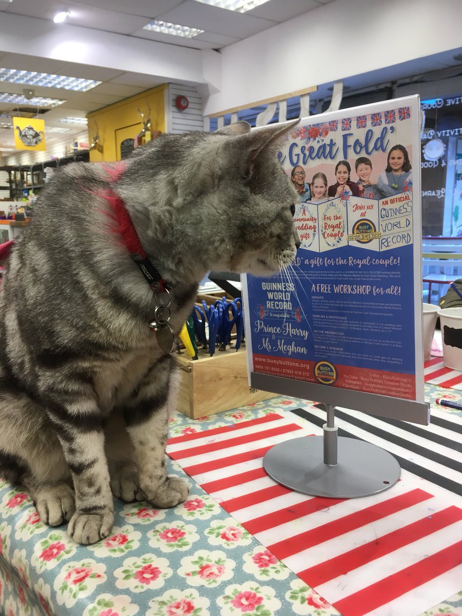 BusyButtonsCC's tweet photo. Even @DexterWindsor came along to sign @BusyButtonsCS @GWR #GuinnessWorldRecord Attempt #RoyalWedding #communitygift to @HRHHenryWindsor @MeghanRMarkle supported by @UptonHouseSch @PTimesBerks #TopPrint https://t.co/zDkZAZb6v9