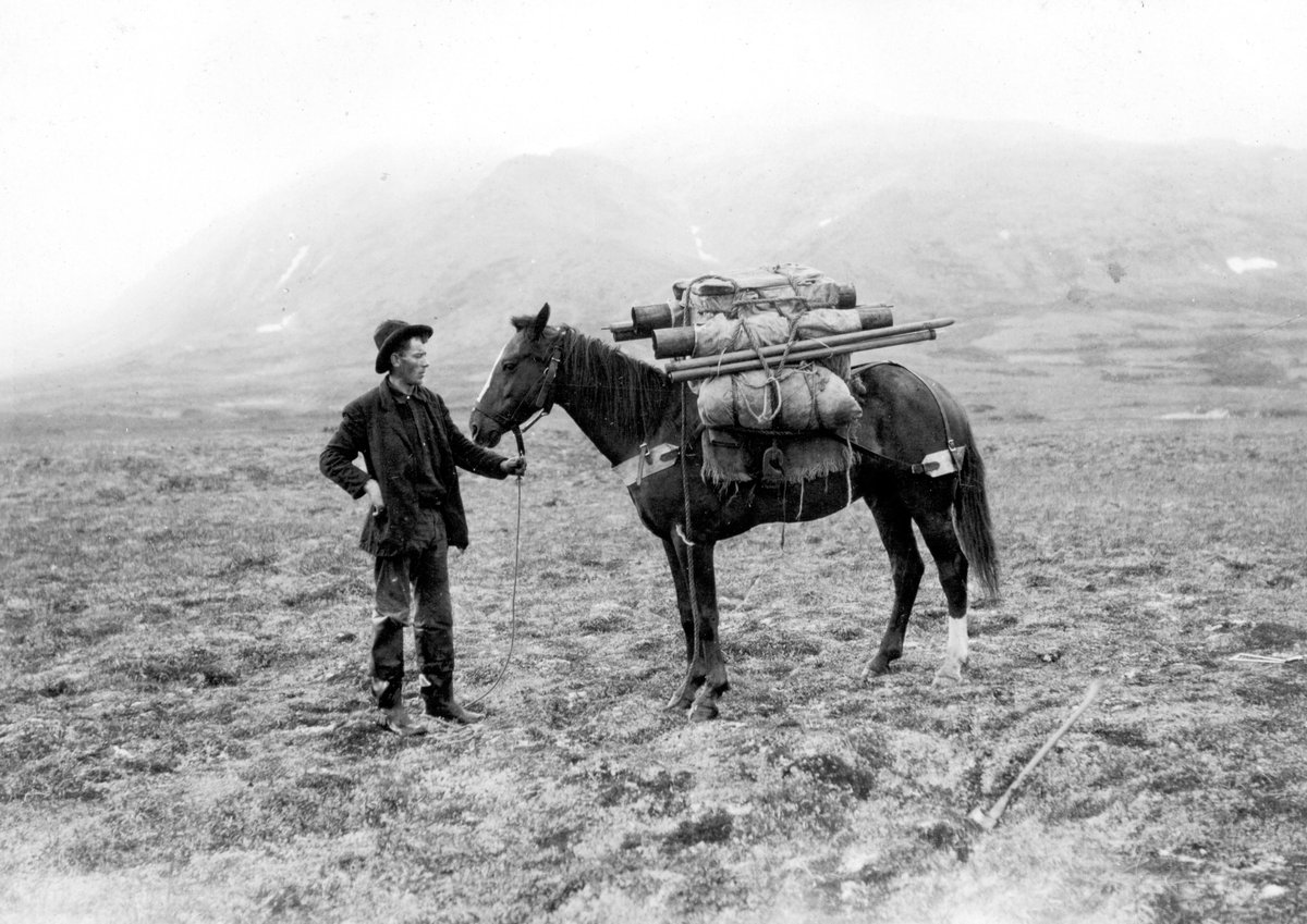 USGS's tweet photo. Geologist with a packhorse, loaded with about 2 weeks of supplies and equipment before heading into the field. Seward Peninsula, Alaska. August 12, 1908 #TBT https://t.co/PiBdQEWXOm