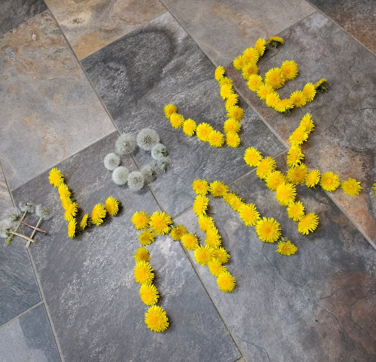 JamMooKow's tweet photo. #lovemk day today. I'm loving the flowers - even the dandelions - that brighten the gridroads. #lovemk #gridroads #flowers #dandelions #miltonkeynes https://t.co/rSScSJaYsi