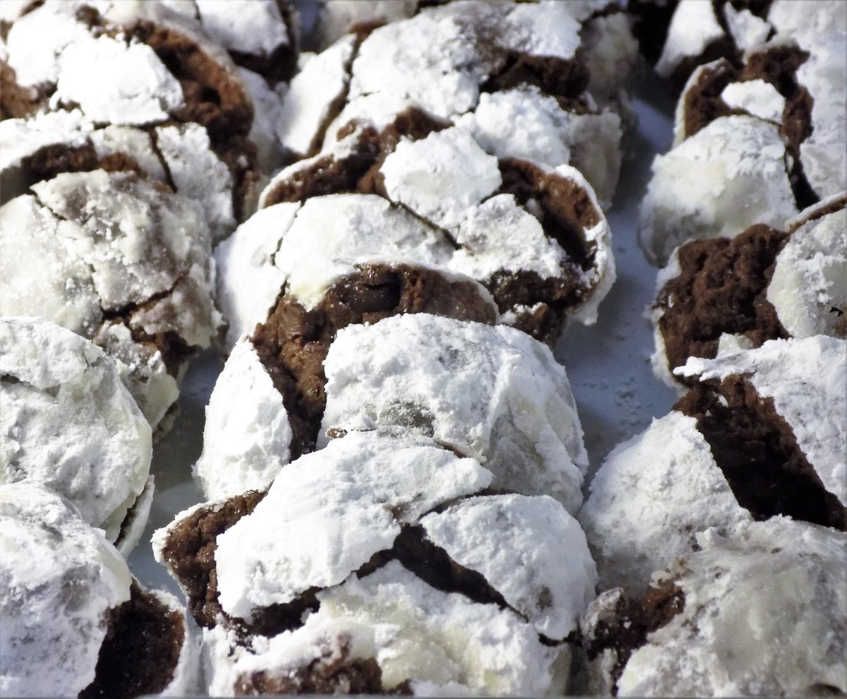 muddysbakeshop's tweet photo. rows of vegan crinkle cookies π https://t.co/CAGOi0w7Ag