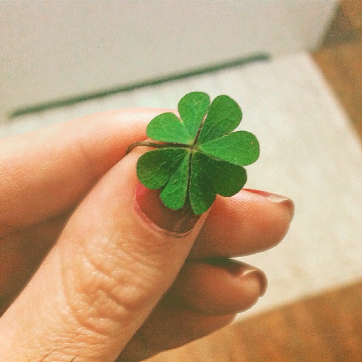 🍀 RT nesse trevo para ter sorte pelo resto de 2018 🍀