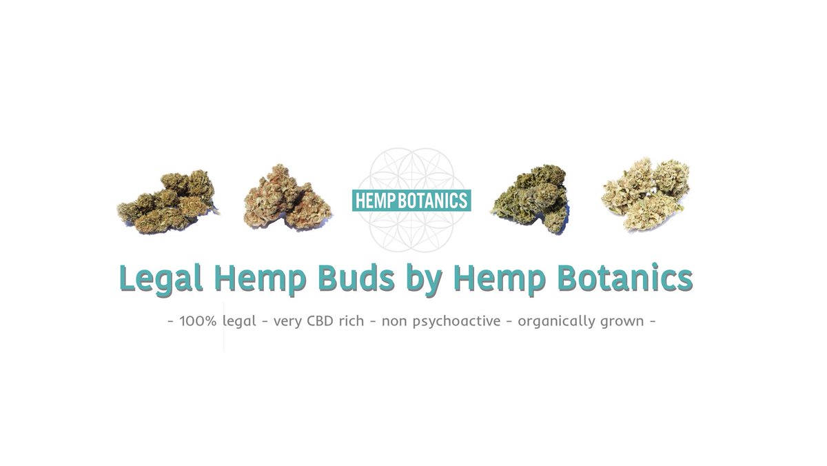 HempBotanicsUK's tweet photo. Legal #cannabis #cbd #hemp #buds available now on SALE online at https://t.co/FDYFojBjMJ and in our London shop on #Portobelloroad #nottinghill
#weed #hightimes @MetroUK @VICE @hightimes @Independent #feedyourecs https://t.co/4s1yvZjRe4