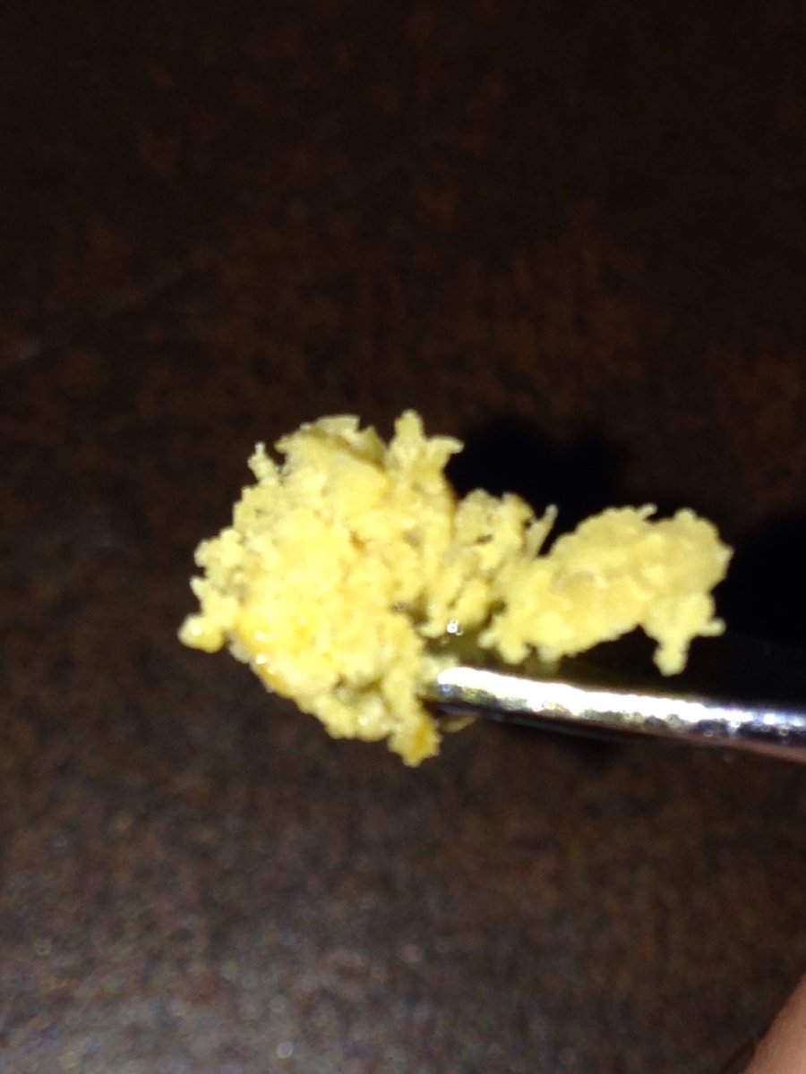 SkunkbeardGenet's tweet photo. TangieStar Badder .. Straight fire! Another great job by Diamond Extract Authority #skunkbeardgenetics https://t.co/4ljOccXbMl