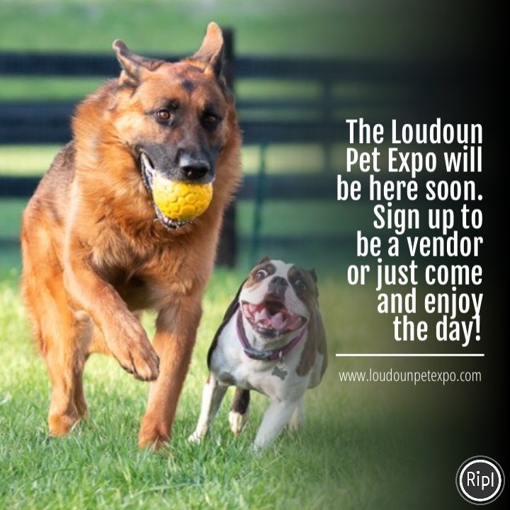 Loudoun Pet Expo (loudounpetexpo) Twitter