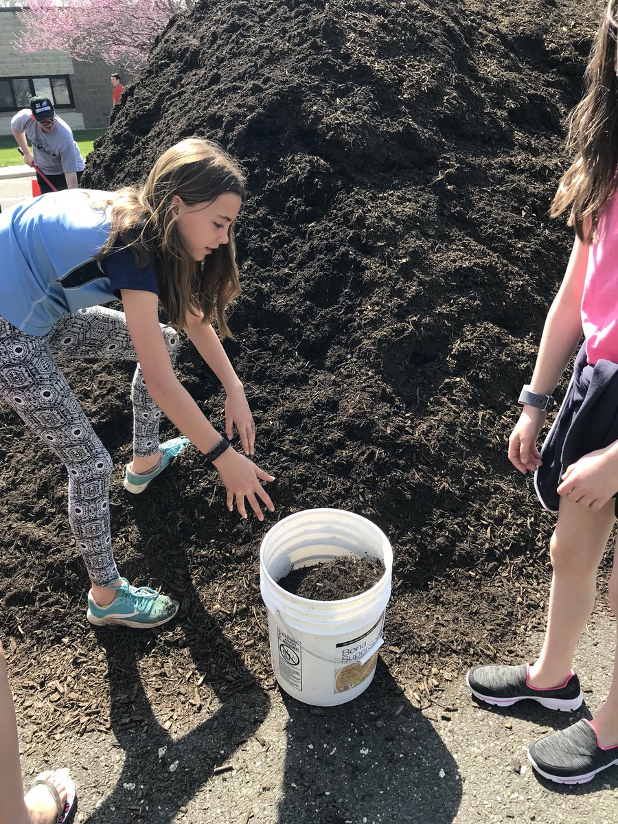 sarverteaches's tweet photo. Working together to mulch the bioswale! #TigerStrong #UnlessProject #HopWaveAndSave @t_amoriello @LisaEgan5th @HeatherPiSTEM @MariaGuelich @Tabschools https://t.co/kA6yD98Vt3