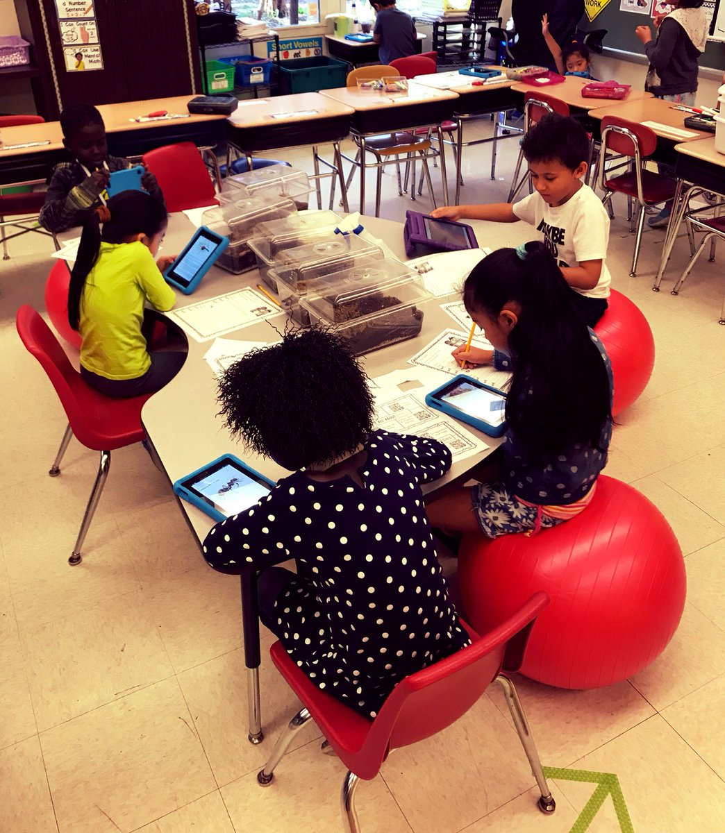 kmirtQV20's tweet photo. Our room is buzzing with activity this morning as we use Kindles and iPads to scan QR codes that lead us to insect information! #futureentomologists #21stcenturyclassroom https://t.co/JRZEHqa3ik