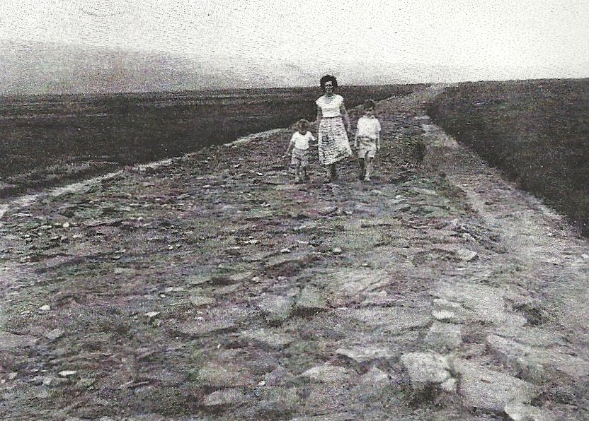 HeadDoghead's tweet photo. Think of an elite developed computer NOW road. Heathens take over. Forest around these roads 1.They don't want to deliver food to other people's children.Not friendly  nuclear. The Romans would be apparently "socialists" 2.W+M take long routes hidden to fuck people  hostel-gossip https://t.co/QFWh4vlnin