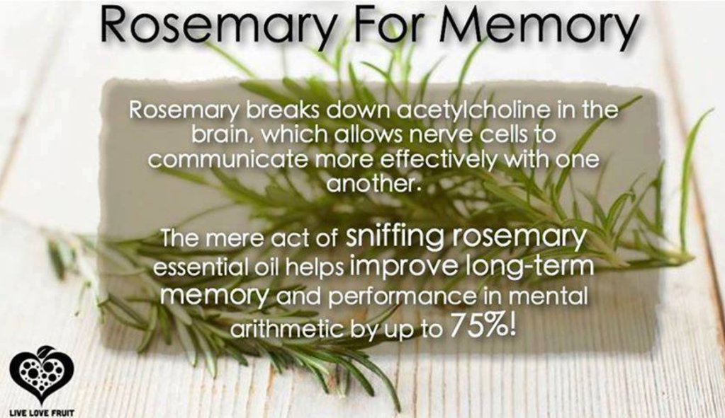LibraryDMU's tweet photo. As we enter exam season, a reminder of the proven benefits of rosemary to aid memory. Pick some up and give yourself a boost 🧠 #Success #SuccessfulStudy #exams #DMU #memory https://t.co/8gkio6At57