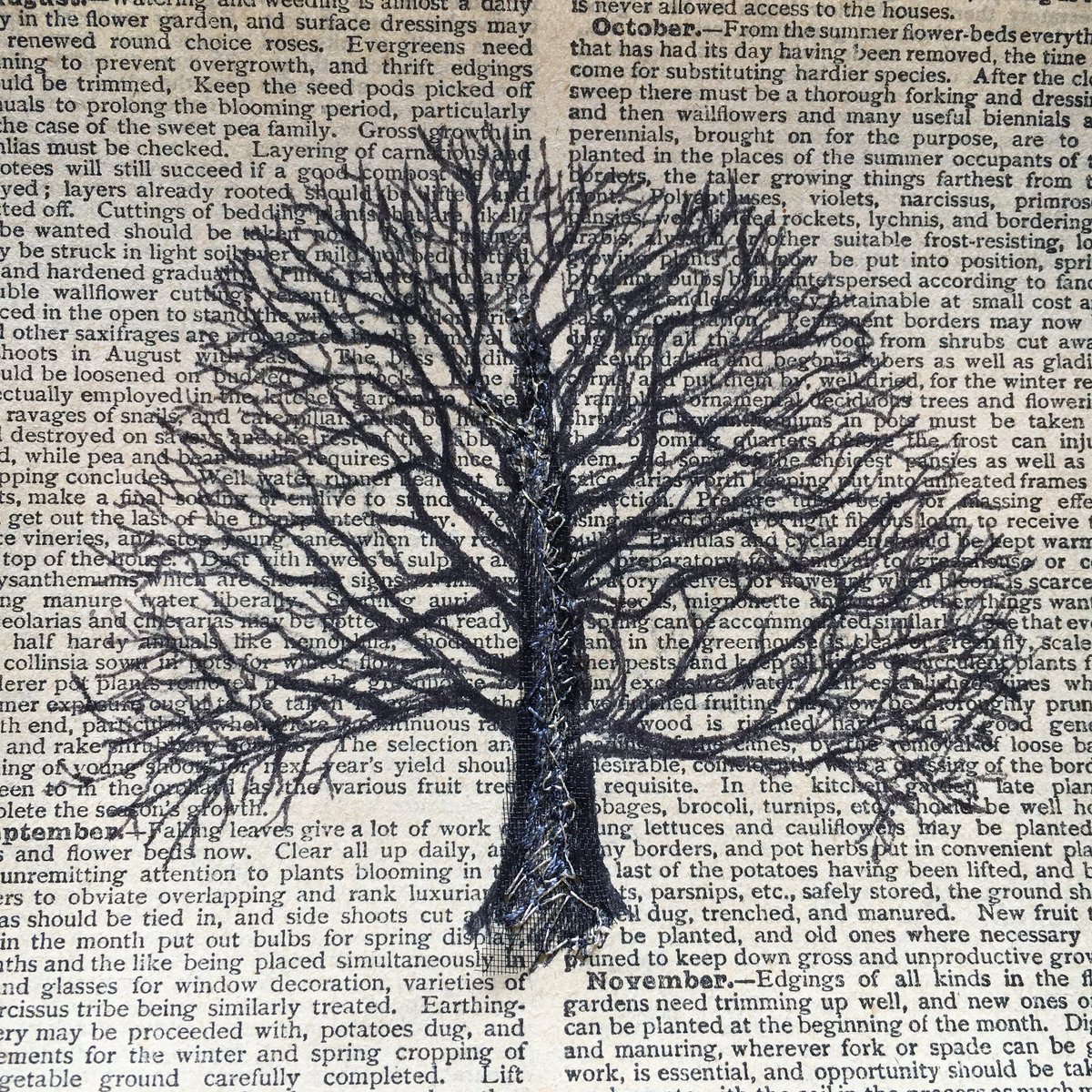 DrawnByStitch's tweet photo. A tiny #pen &amp; #stitched #tree ready for my Drawn By Stitch #art #exhibition which previews this #Saturday at #Saddleworth Museum @saddleworthnews @HeartGallery @IMcMillan @art_in_textiles @womensart1  @textile_cuisine @YorksTextiles @TheYorkshireG @djohnhopper @Oldham_Hour RT https://t.co/rqSF70alyx