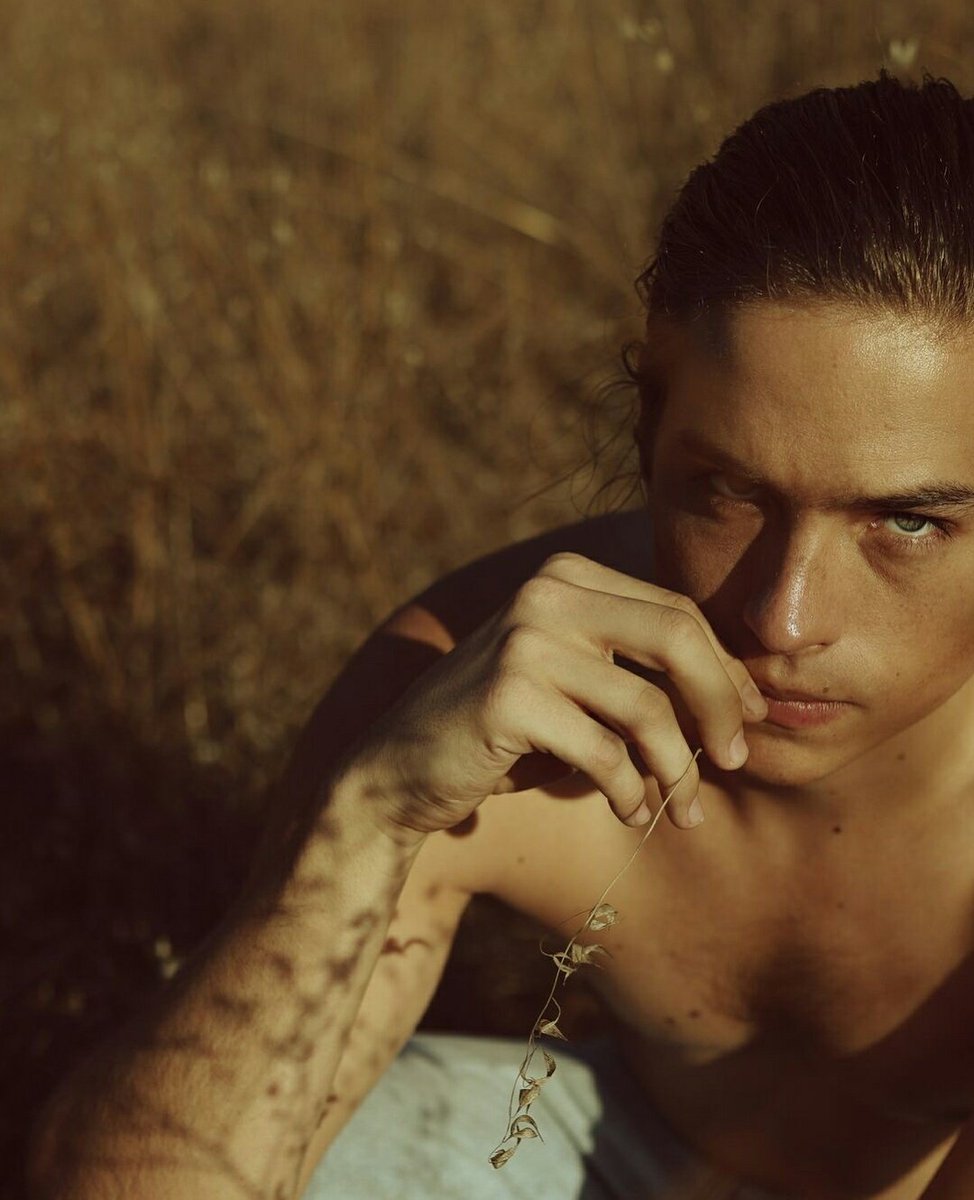 Cole Sprouse Tattoos: What’s Real Behind the Scenes?