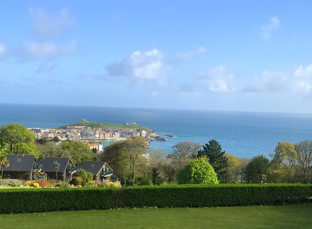 Joey Anna tweet media