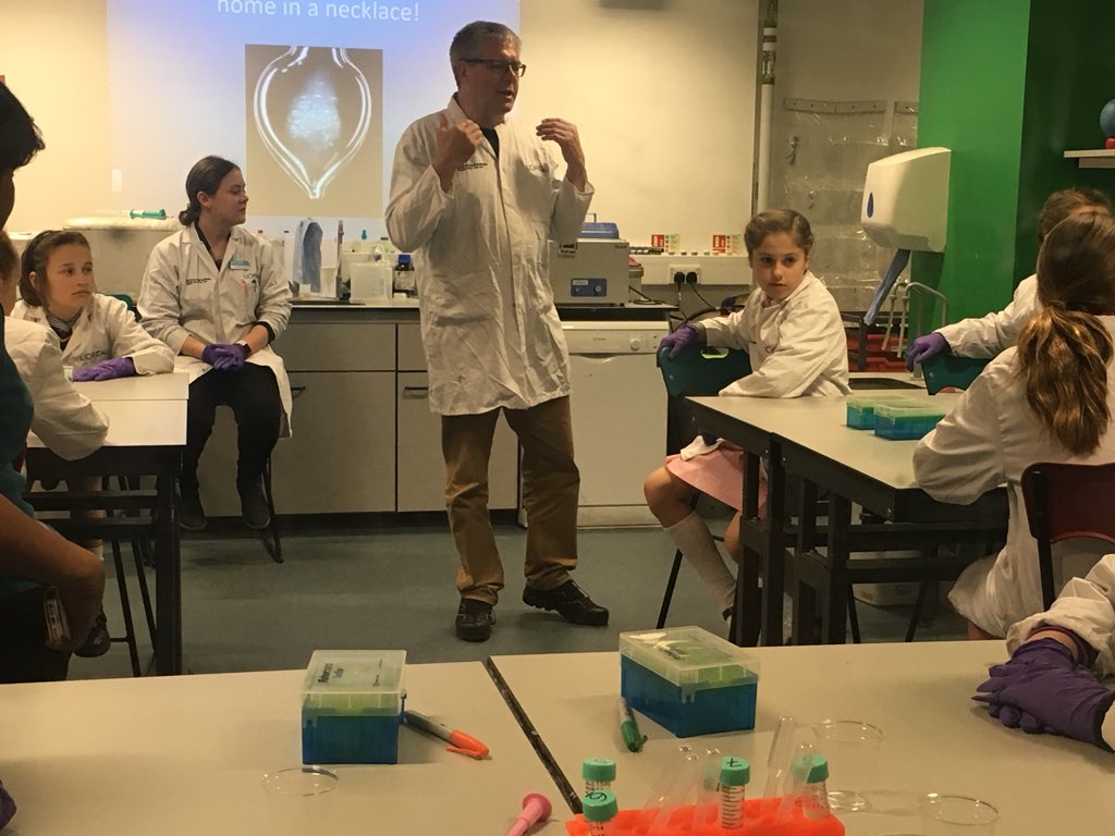 B&H Prep Science tweet media