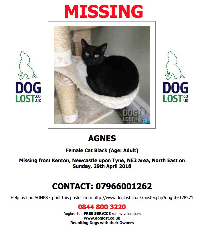 DogLostUK's tweet photo. https://t.co/jt1sXwNKjV  
#LOST AGNES
Female #Cat  
#Kenton  #NewcastleUponTyne #NE3  Sunday, 29th April 2018  #LostCat  #ScanMe  https://t.co/phUgBT8aWH @VetsGetScanning @SAMPAuk_ https://t.co/hS66MPVQ7Y
