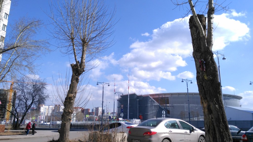 42 days till the 2018 FIFA World Cup in Ekaterinburg. In the city, the trees are barbarian, all branches are cut down in the trees. Then the tree slowly dies. Replacing old trees with new ones is not done. #FifaWorldCup2018 #Ekaterinburg2018 #Russia2018