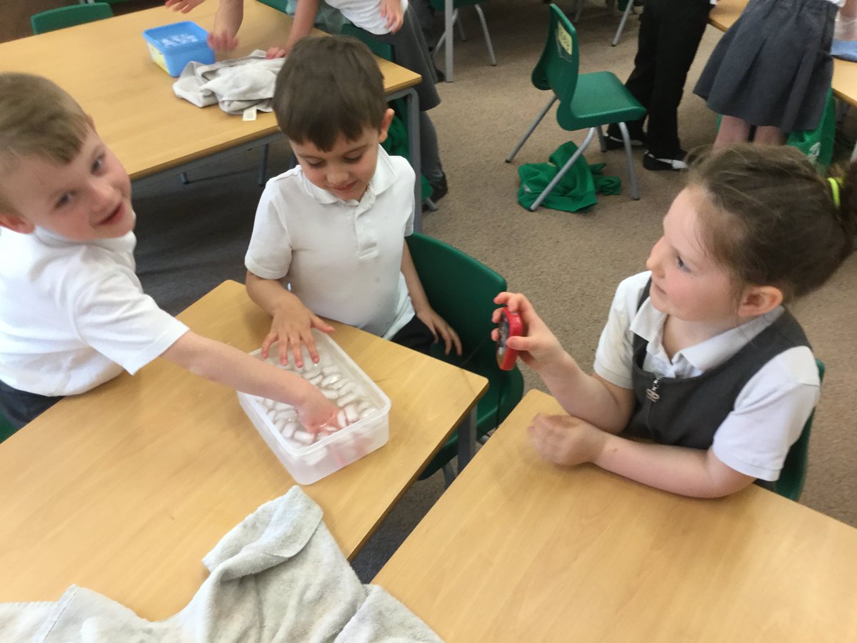 Year 1 tweet media