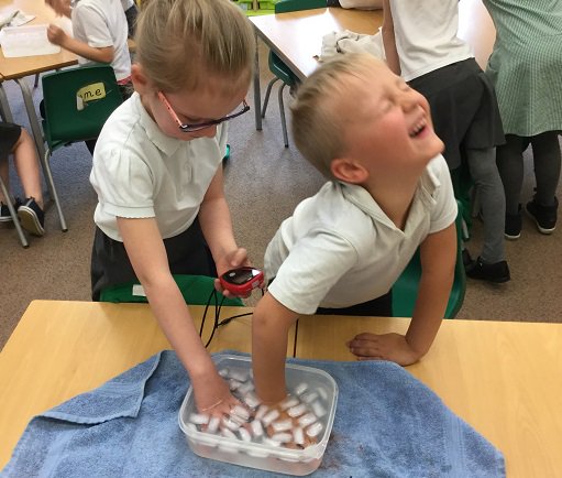 Year 1 tweet media