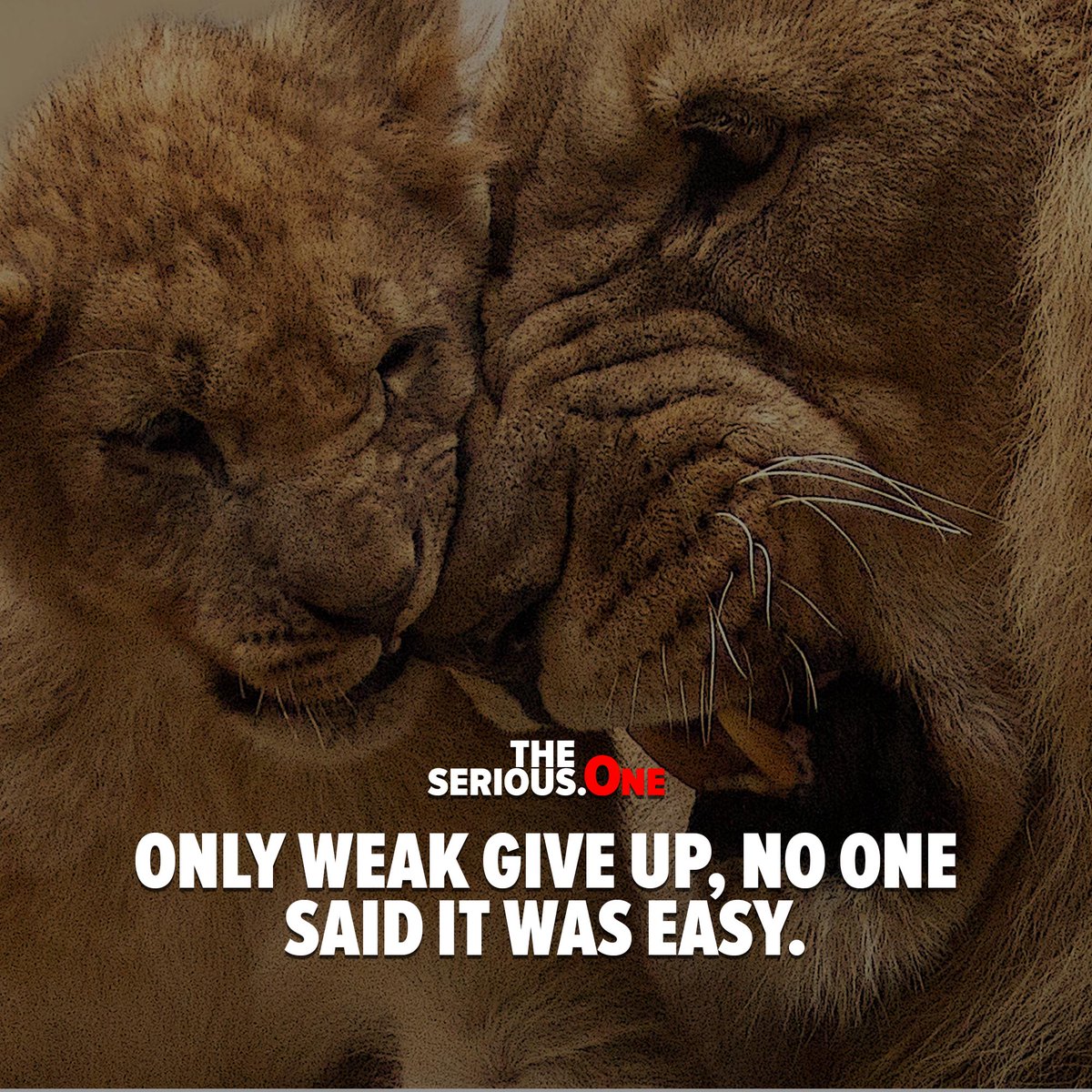 Only weak give up, no one said it was easy.

theserious.one/only-weak-give…

#hustle #workhard #motivation