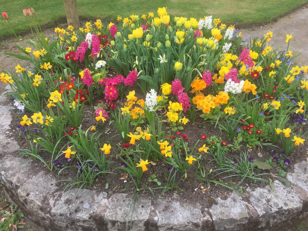 ForresinBloom's tweet photo. Coffee morning on Saturday 12th May 10-12 in Town Hall usual stalls. Donations welcome https://t.co/P0oKNWJK83