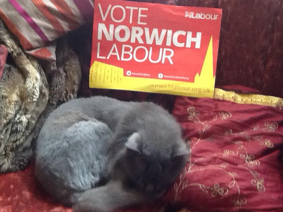 LabourNelson's tweet photo. A friendly reminder from Smokey, one of our other #catsofNelson, to get yourselves down your local polling station to #VoteLabour and vote for @emmalhampton https://t.co/I3DC51bzJs