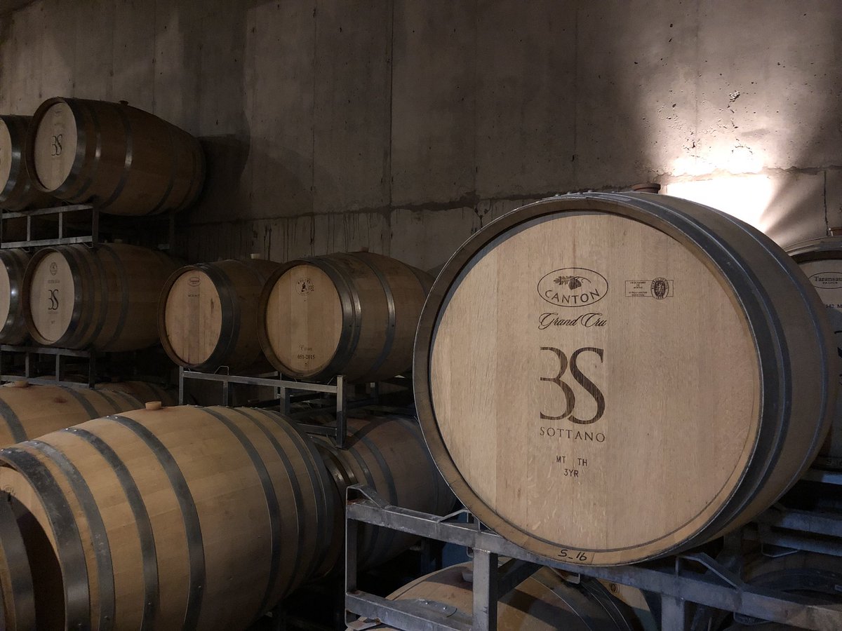 [Nuevo] Sottano, Vicentín y viceversa bit.ly/ViSoyVi