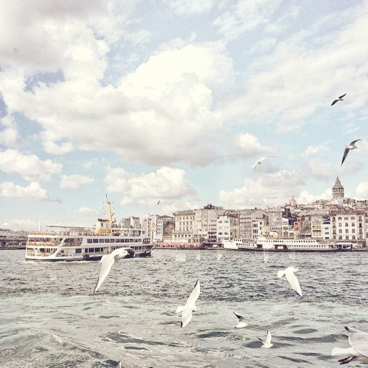 goSwaype's tweet photo. Split over two continents, Istanbul is home to a staggering 15 million residents (plus a lot of seagulls) 😄
Lovely shot by @istanbul #IstanbulWeek #LoveIstanbul #VisitIstanbul https://t.co/hXh3TwGzea