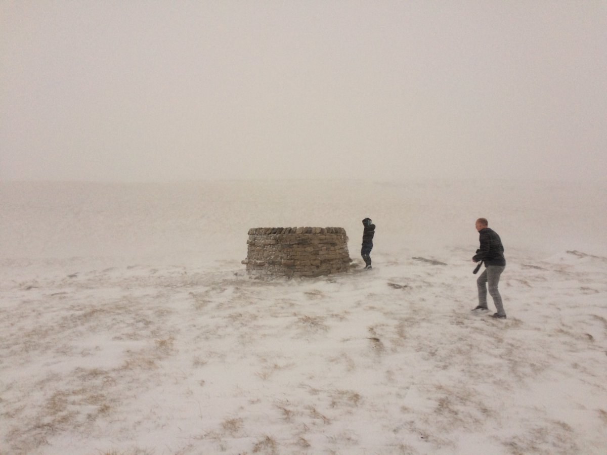 butnorain's tweet image. // bursting with life and the memory of ice //

Exciting news! Just heard from a Great Asby resident that the 2 trees inside #treefold east are budding. Well done tiny trees - you made it through a very harsh winter!
#TreeCharter 
@WoodlandTrust @FriendsofLakes @CommonGroundLab