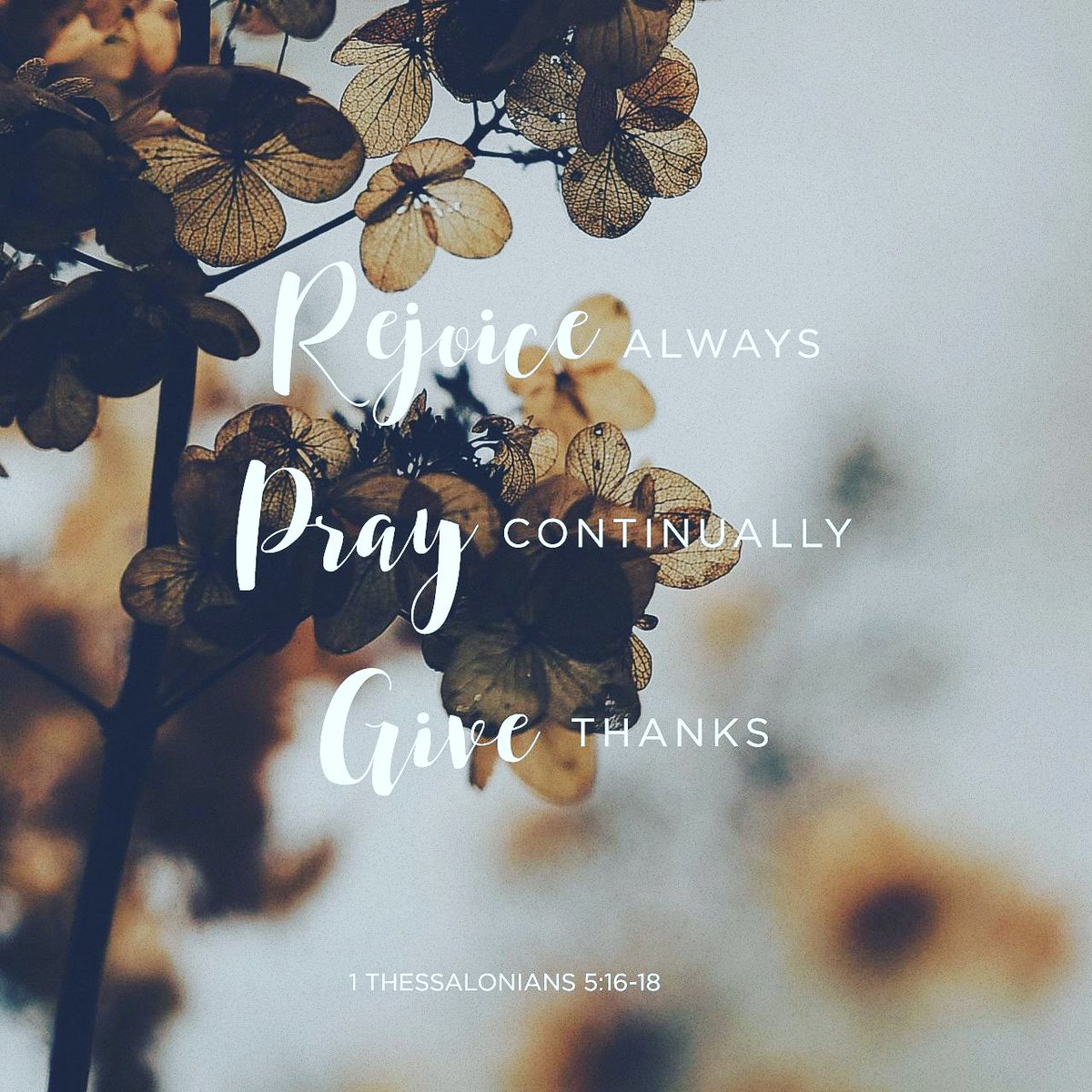 David Praise tweet media