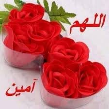loraamjad's tweet photo. @ahmdmohsen84  https://t.co/OPSngyHSbv