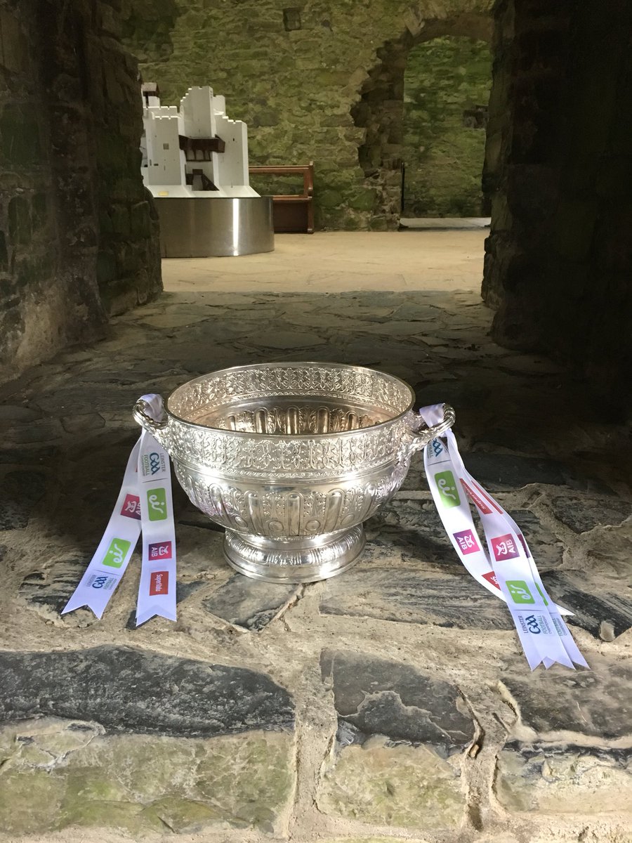Delaney Cup in a de Lacy castle!😀#gaa #leinstergaa #meathgaa #opwireland #stayintrim