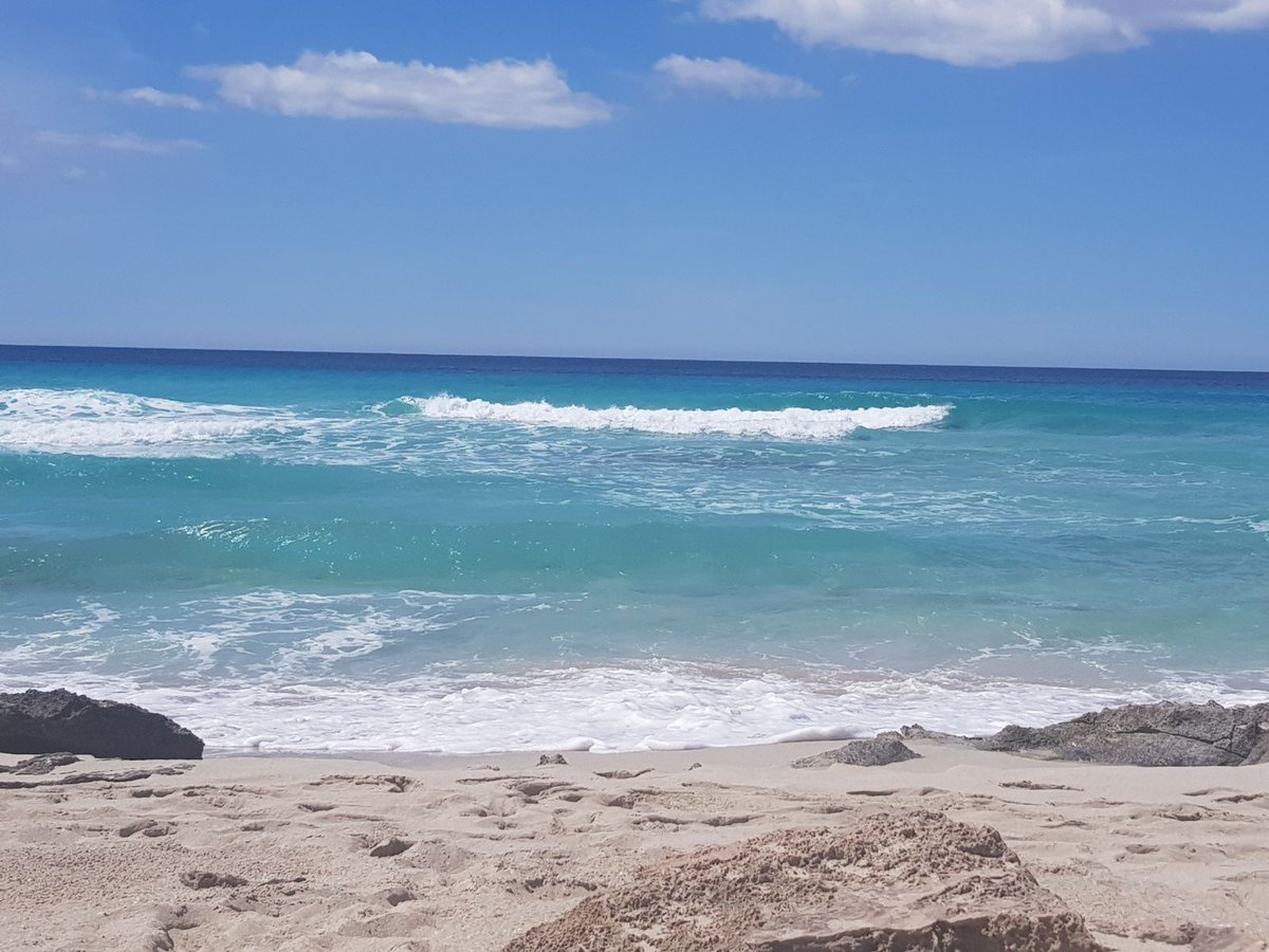 ilCazza's tweet photo. La difficile vita del trasfertista...
In attesa dell'evento di DOMANI!!!
https://t.co/jFgtbsPyEQ
#Formentera2018 e sei subito sedotto!!!
https://t.co/dJQzisL09I 
#formentera #formenteraexperience #wishtravel #viaggio #sogni https://t.co/F4d6nEnNuS