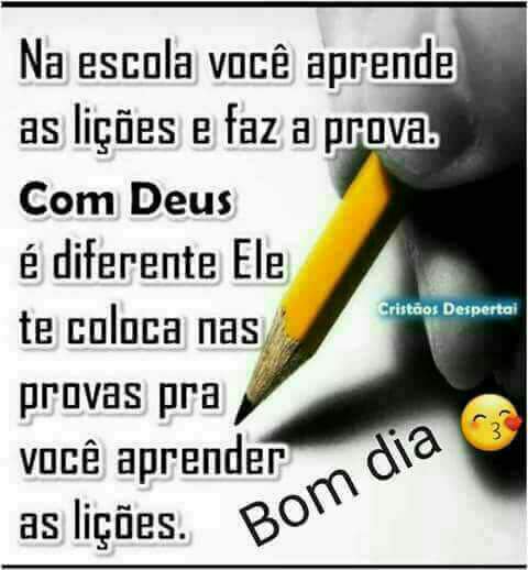 Alexandre e Janaina (@spindolajanaina) on Twitter photo 