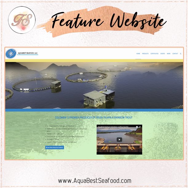 fabymosa's tweet photo. My feature page today is AquaBest Seafood, dedicated to produce and process Tilapia and Rainbow Trout fish in their own lake. @aquabestseafood
https://t.co/7rzPHNe048
#featured #featuredwebsite #webdesign #wordpress #designspiration #Tilapia https://t.co/gLhKTlsCrm