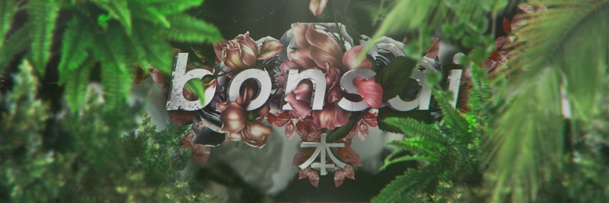 t_ianyu's tweet photo. @BonsaiAtrium 
bonsai up 
by denial uwu https://t.co/NLPowXYy0o